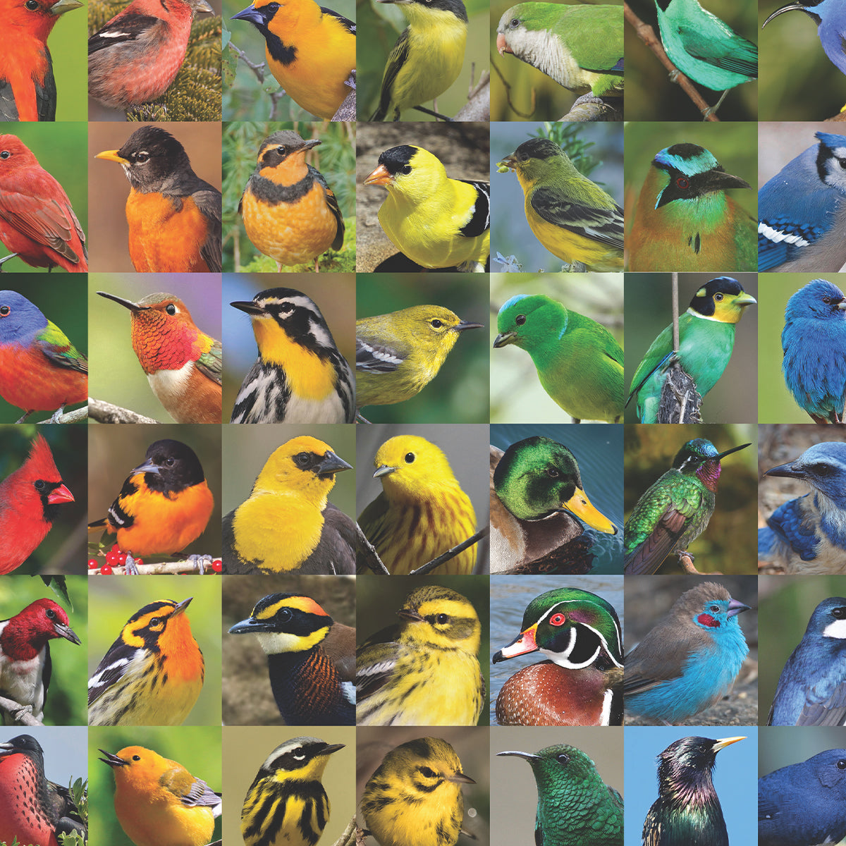 Birds & Wildlife Puzzles