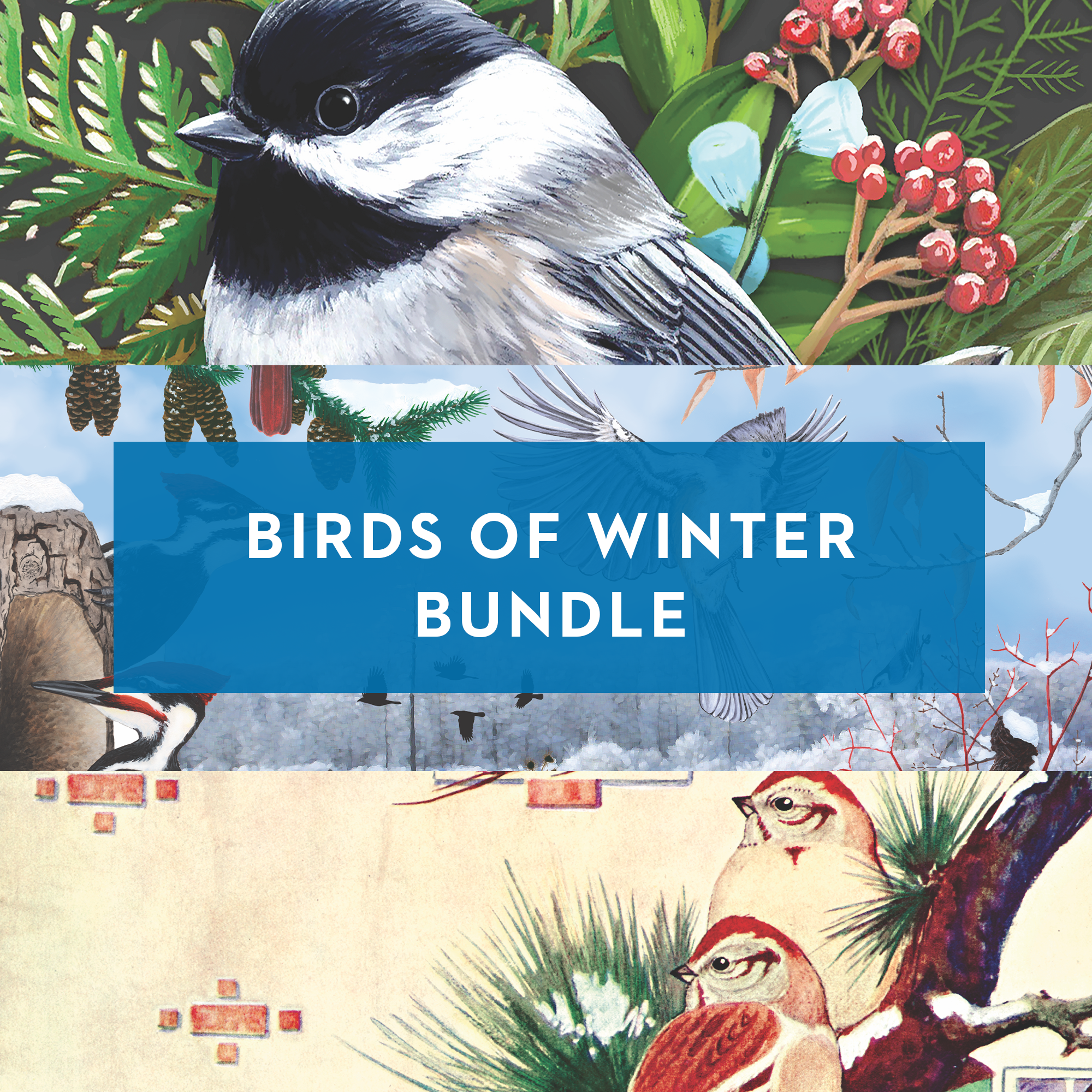 Birds of Winter Bundle