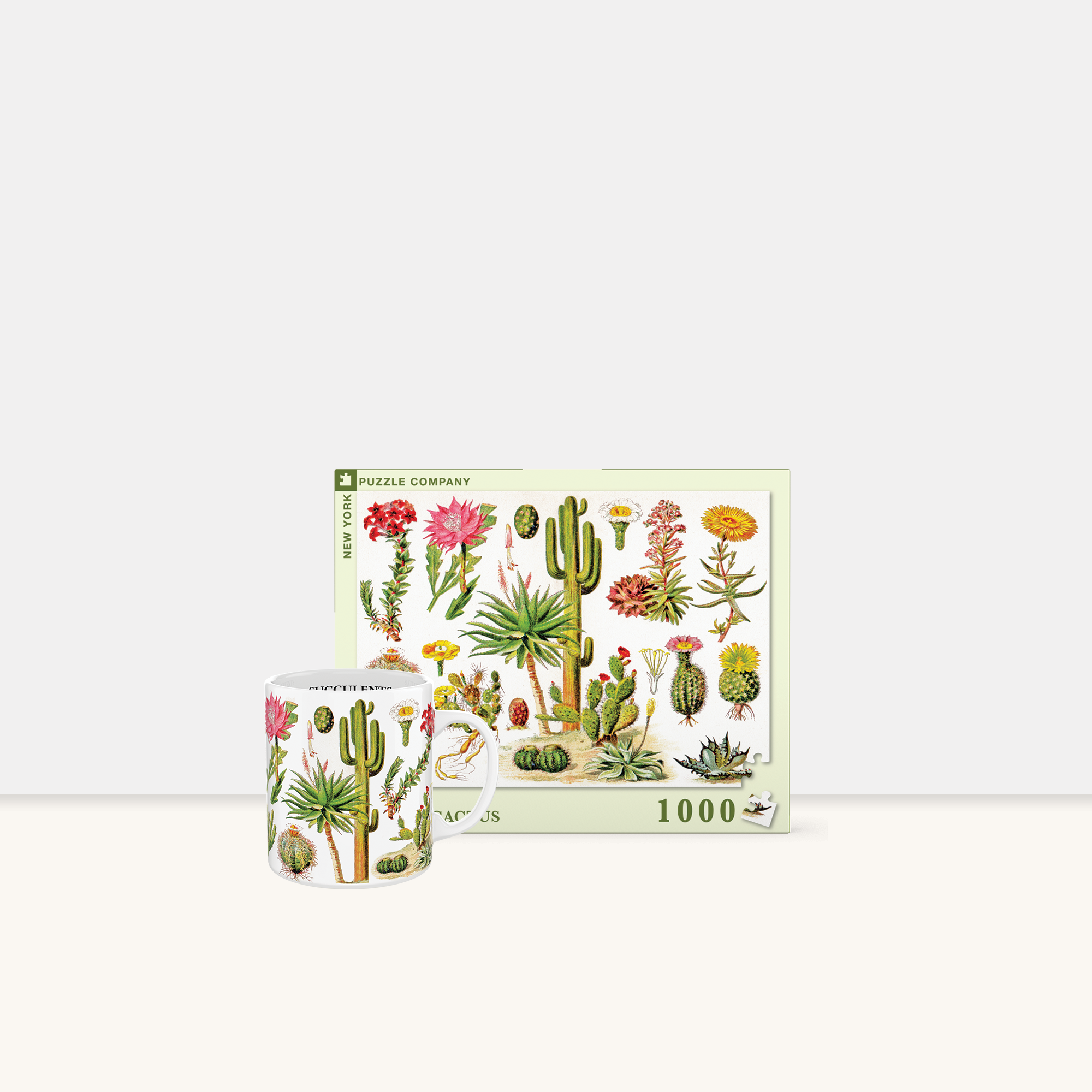 Cacti & Succulent Bundle