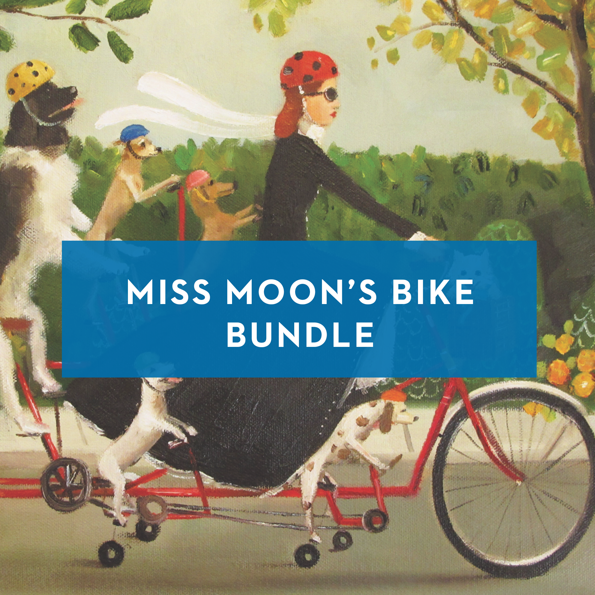 Miss Moon's Bike Bundle