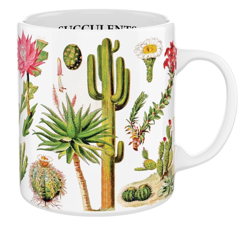 succulents in a mug Stash Tea Succulents Mug