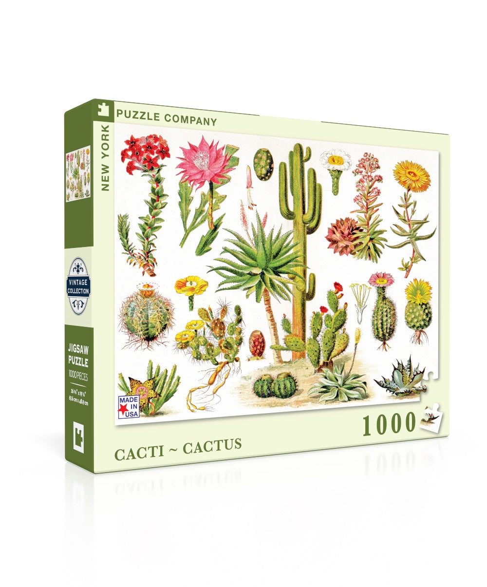 Cacti ~ Cactus Image 1