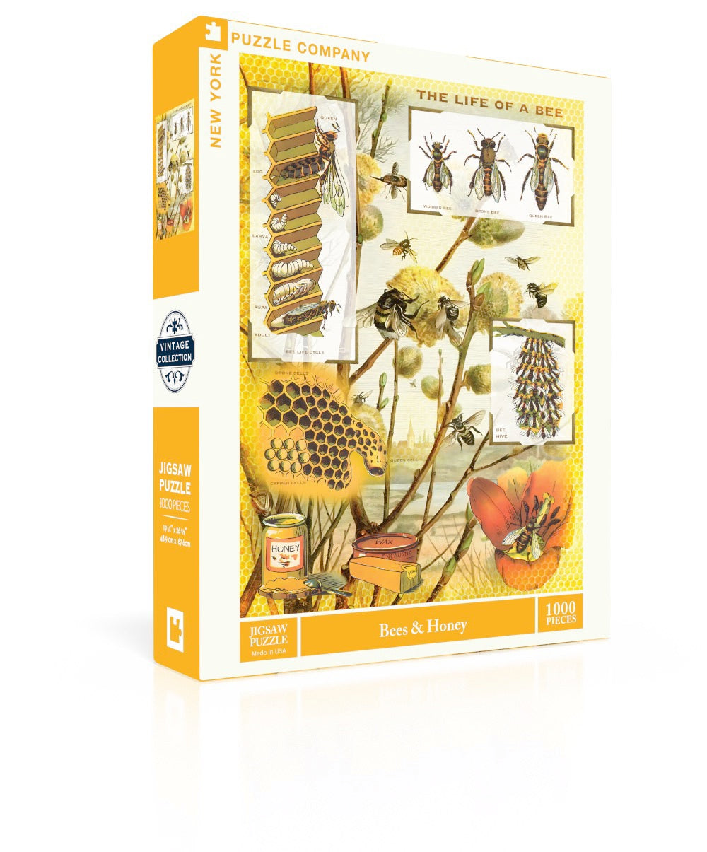 Bees & Honey Image 1