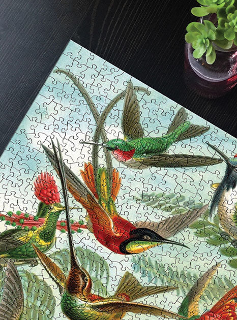 Trending Puzzles on Instagram TikTok Facebook Hummingbirds