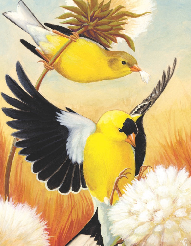 American Goldfinch Mini