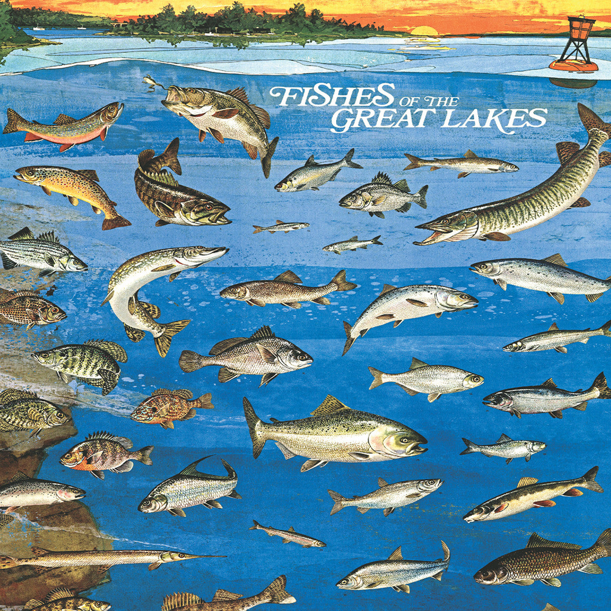 Nautical & Coastal & Ocean Life Puzzles