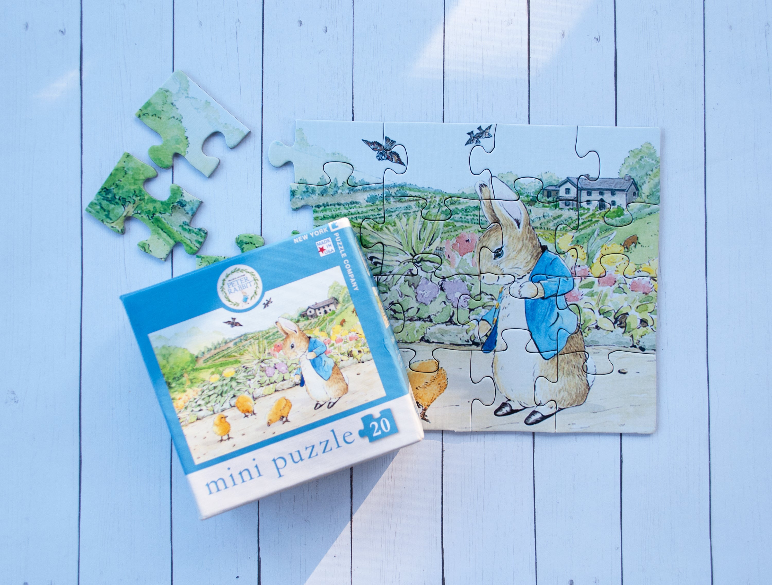 Spring Chicks Mini Image 4