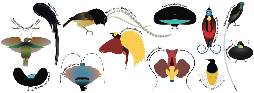 Birds-of-Paradise Mug Image 3
