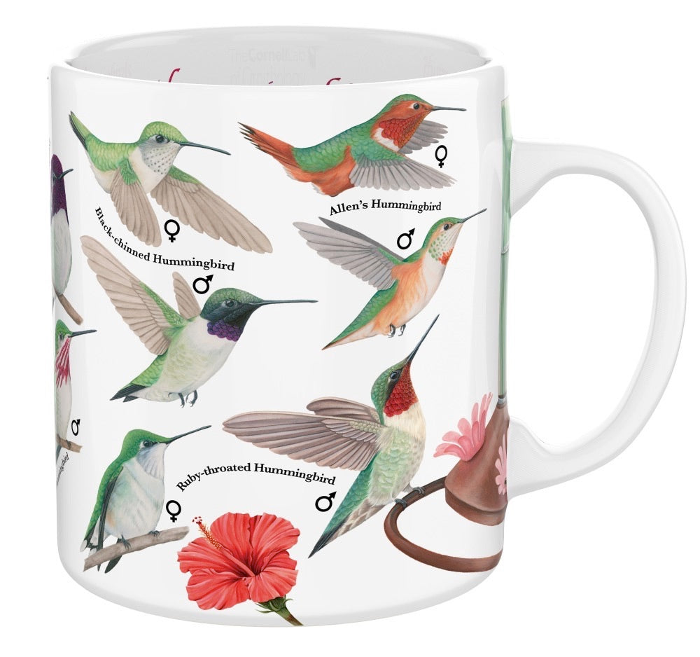 Hummingbirds Mug Image 1