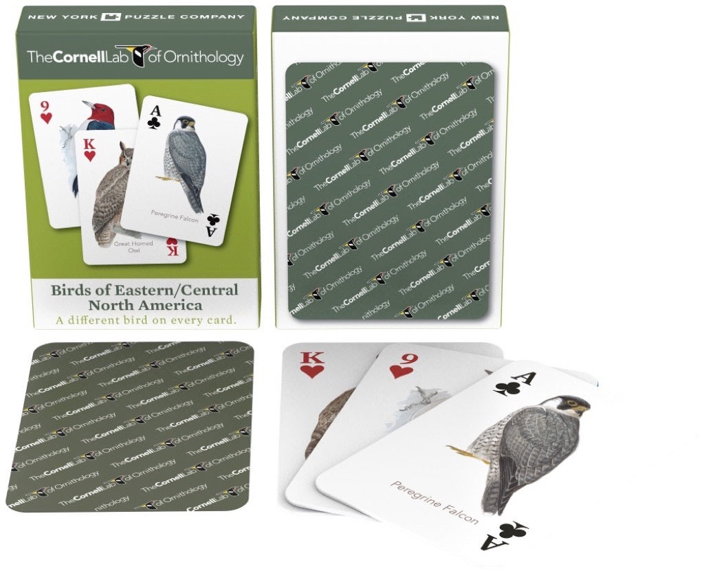 Birds of Eastern/Central North America Playing Cards Image 1