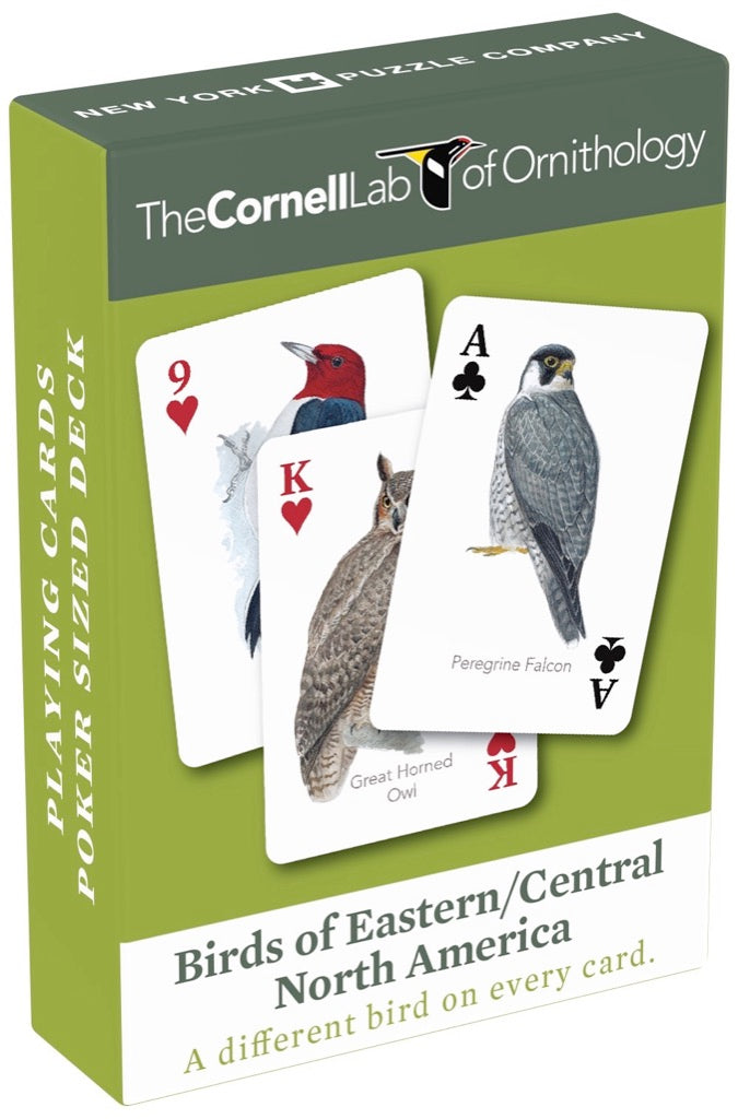 Birds of Eastern/Central North America Playing Cards Image 2