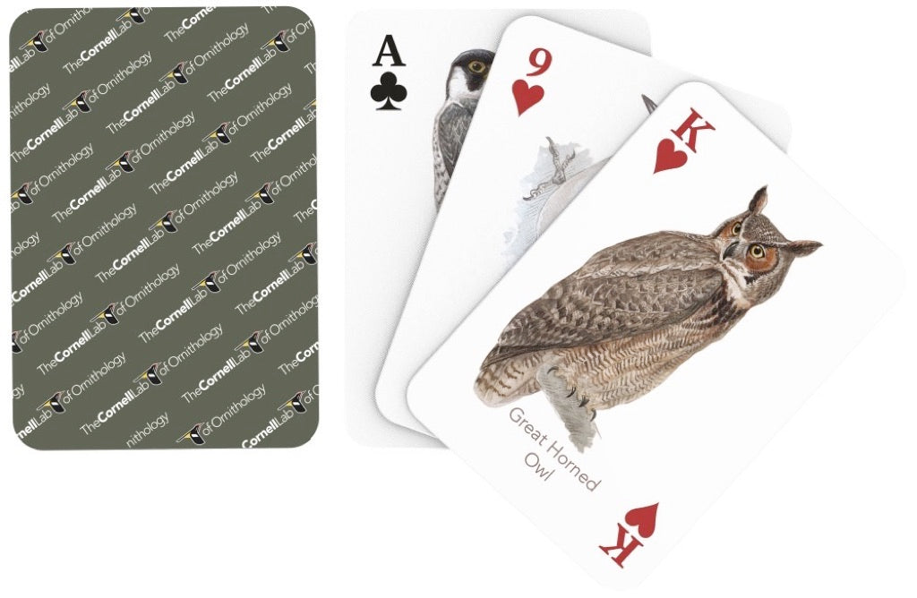 Birds of Eastern/Central North America Playing Cards Image 3