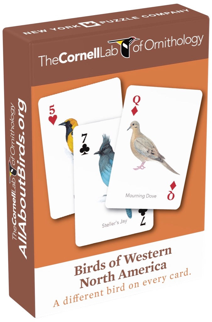 Birds of Western North America Playing Cards Image 2