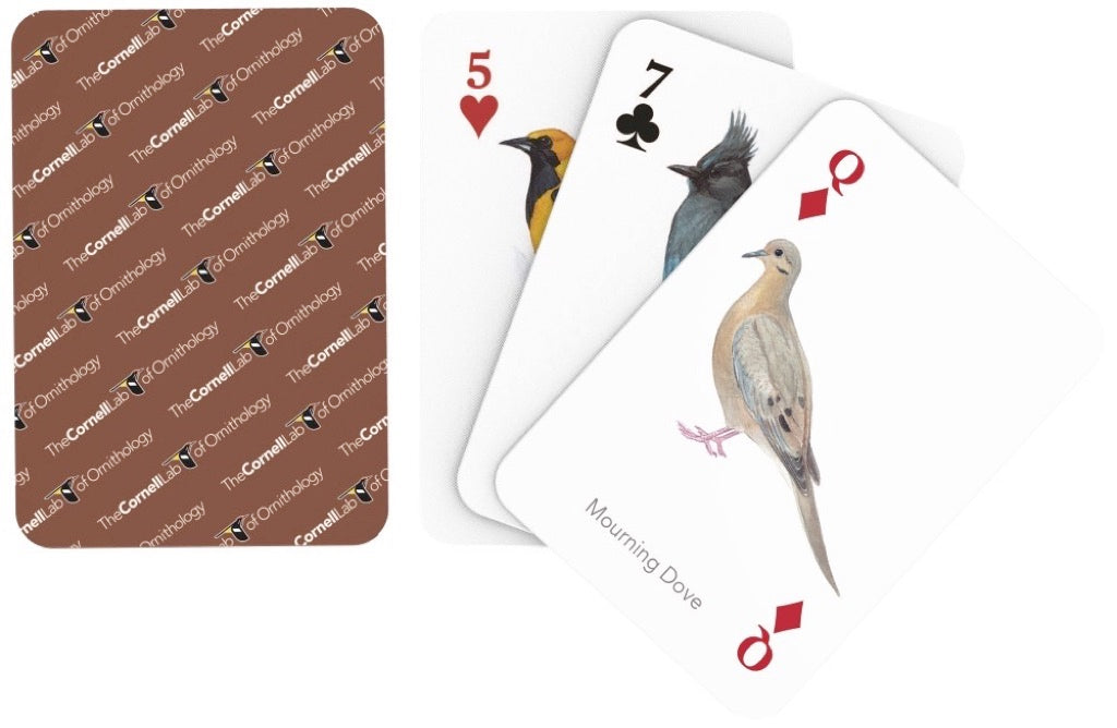 Birds of Western North America Playing Cards Image 3