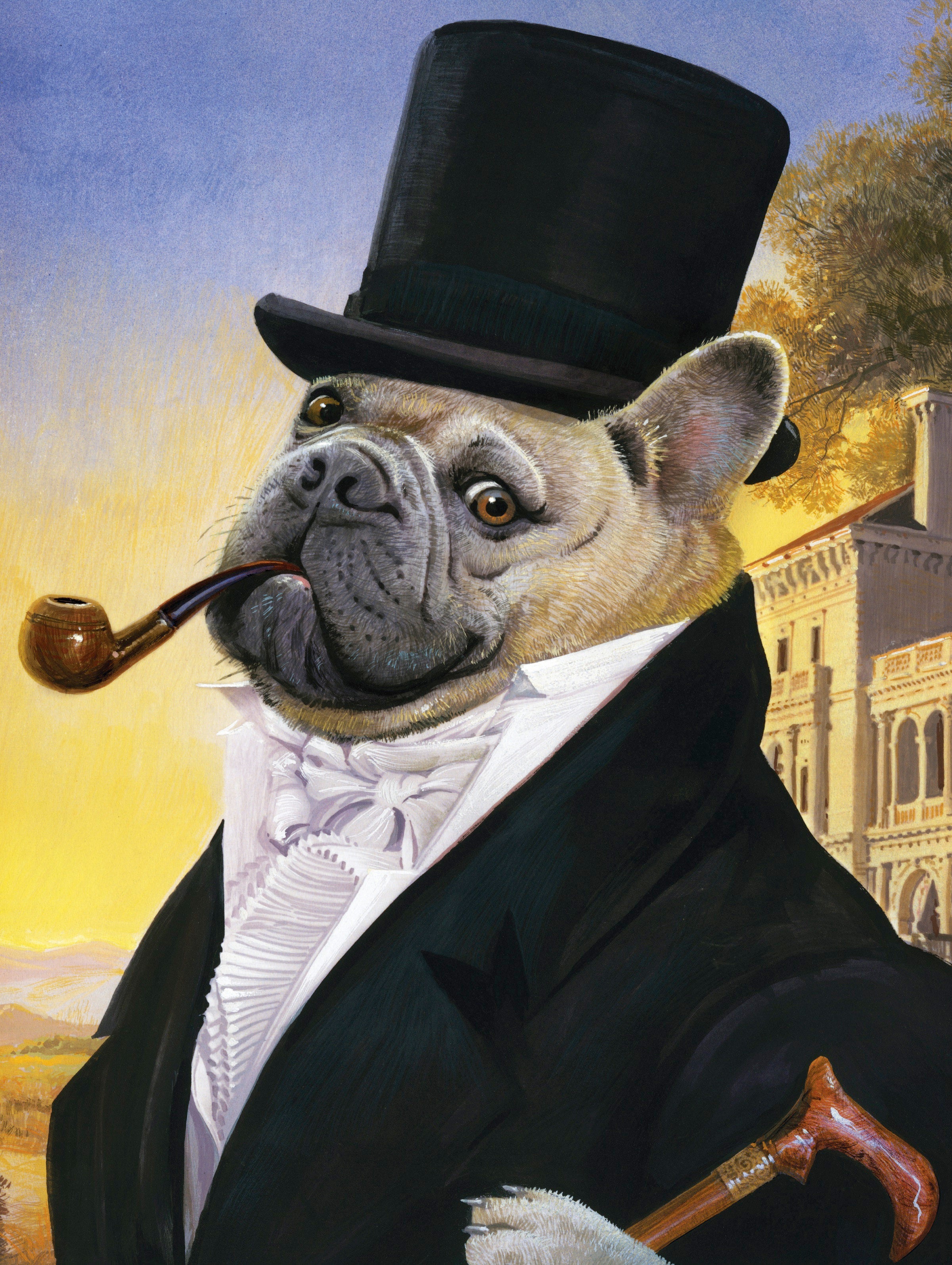 Posh Pug Image 3