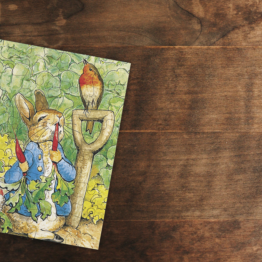 Peter Rabbit Mini Image 4