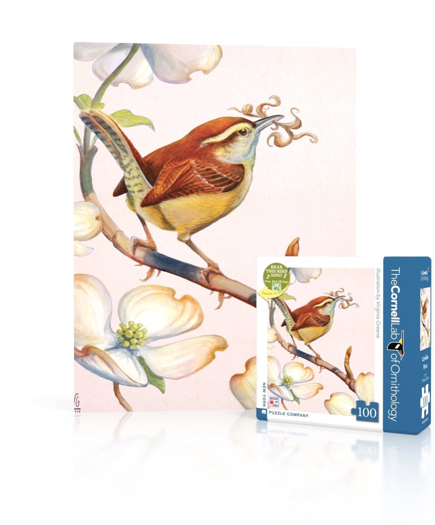 Carolina Wren Mini Image 1