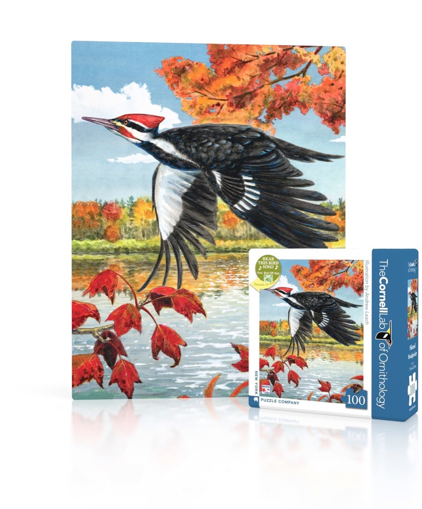 Pileated Woodpecker Mini Image 1