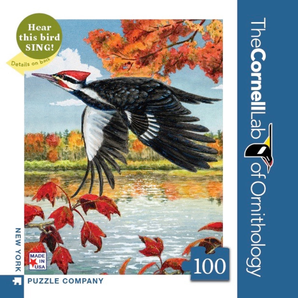 Pileated Woodpecker Mini Image 2