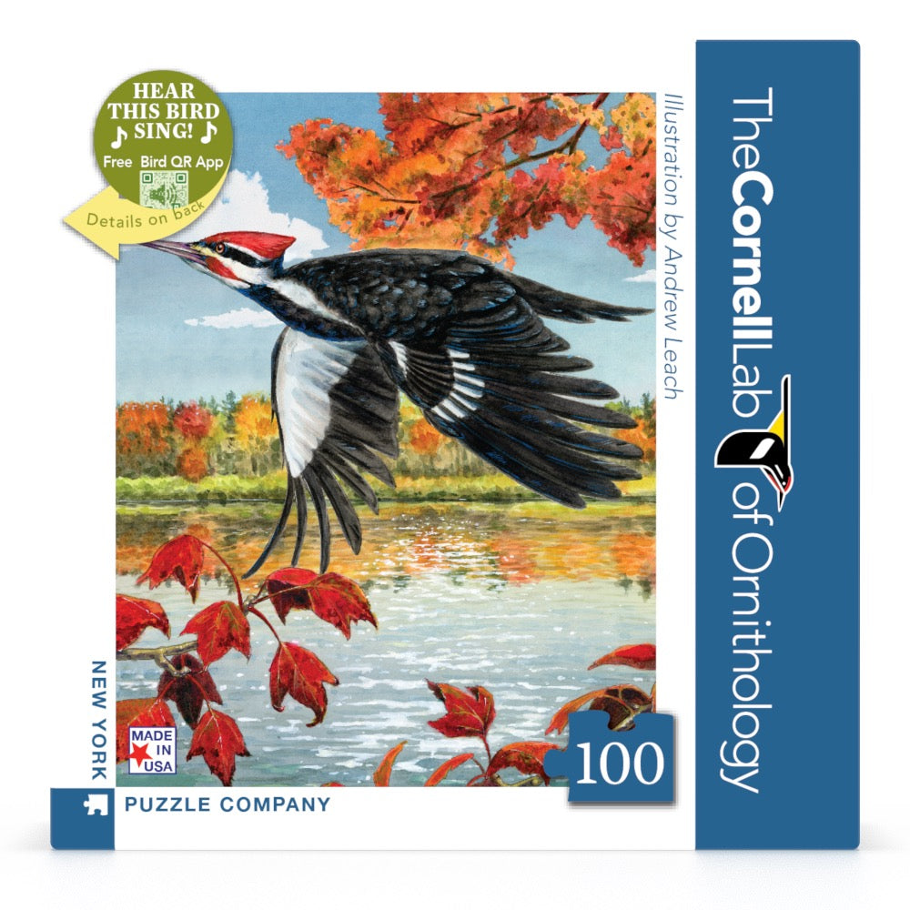 Pileated Woodpecker Mini Image 2