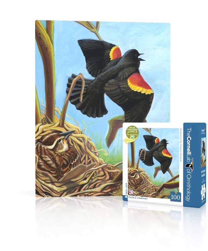 Red-winged Blackbird Mini Image 1