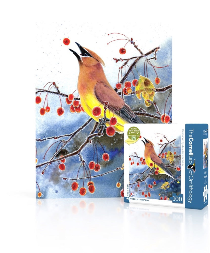 Cedar Waxwing Mini Image 1