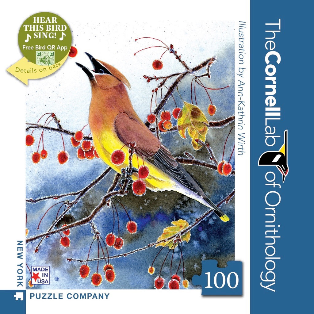 Cedar Waxwing Mini Image 2