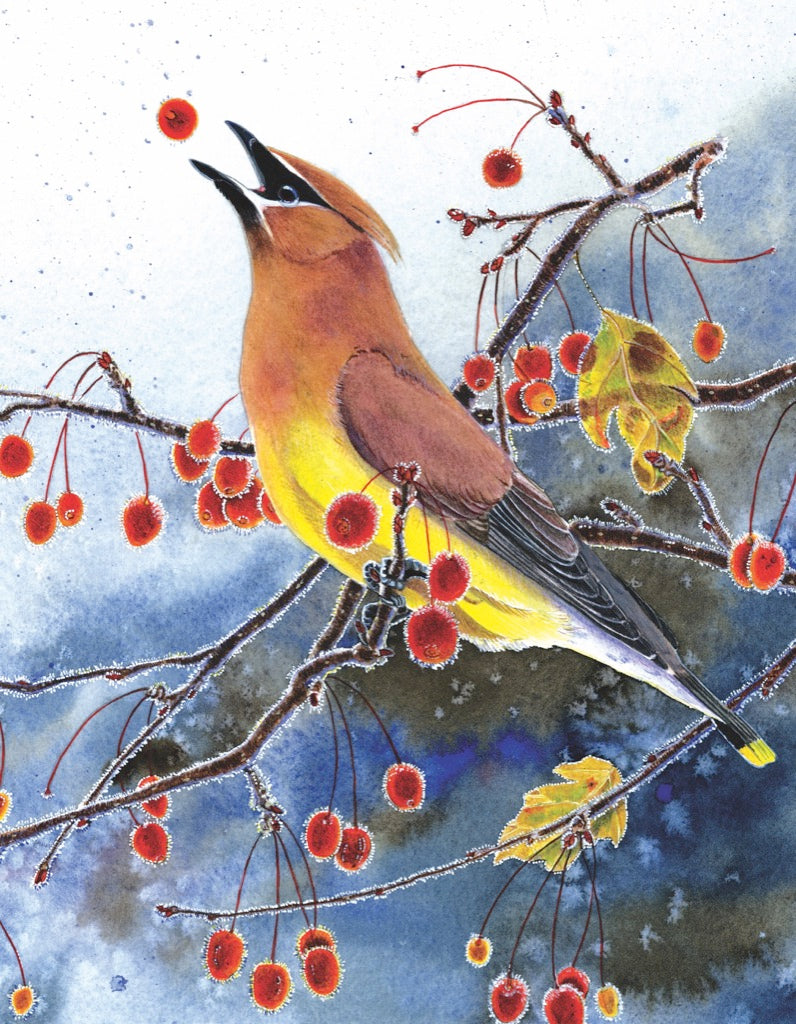 Cedar Waxwing Mini Image 3