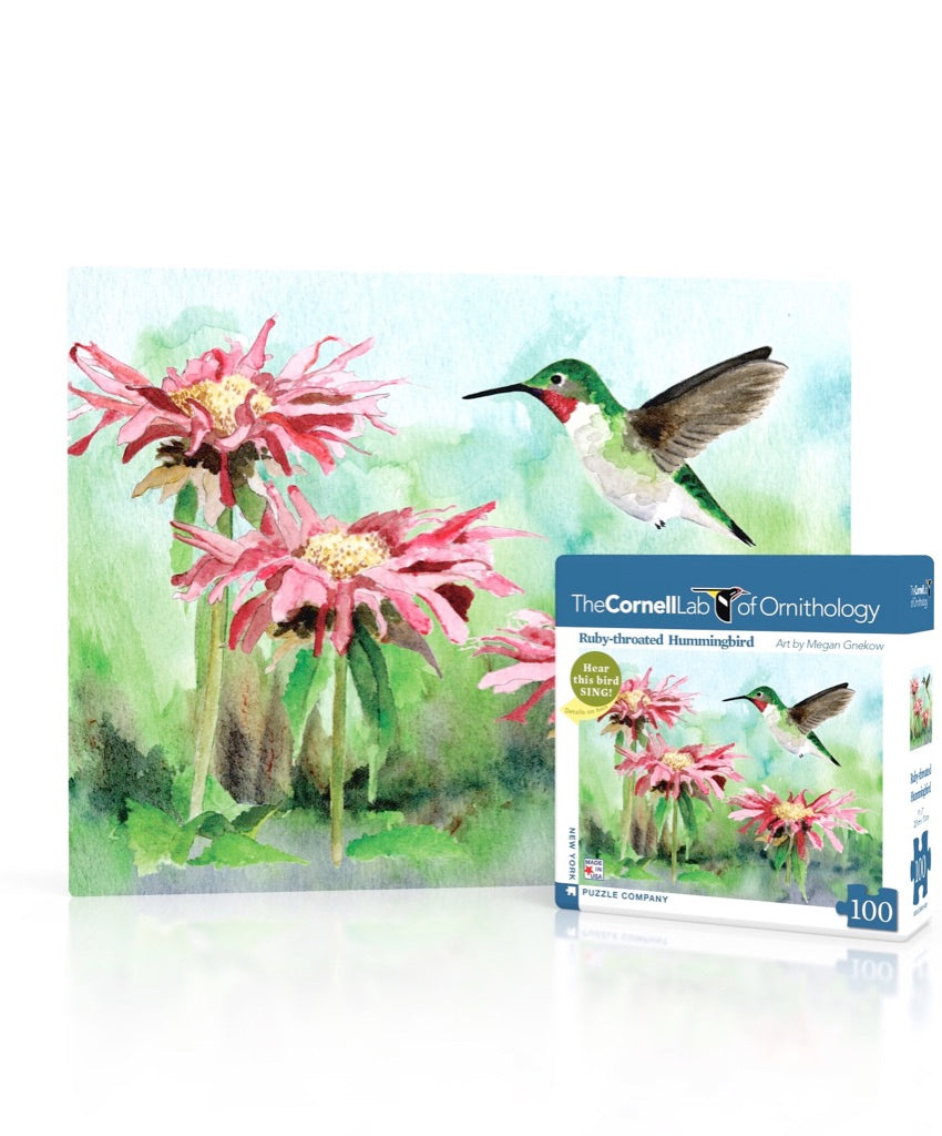 Ruby-throated Hummingbird Mini Image 1