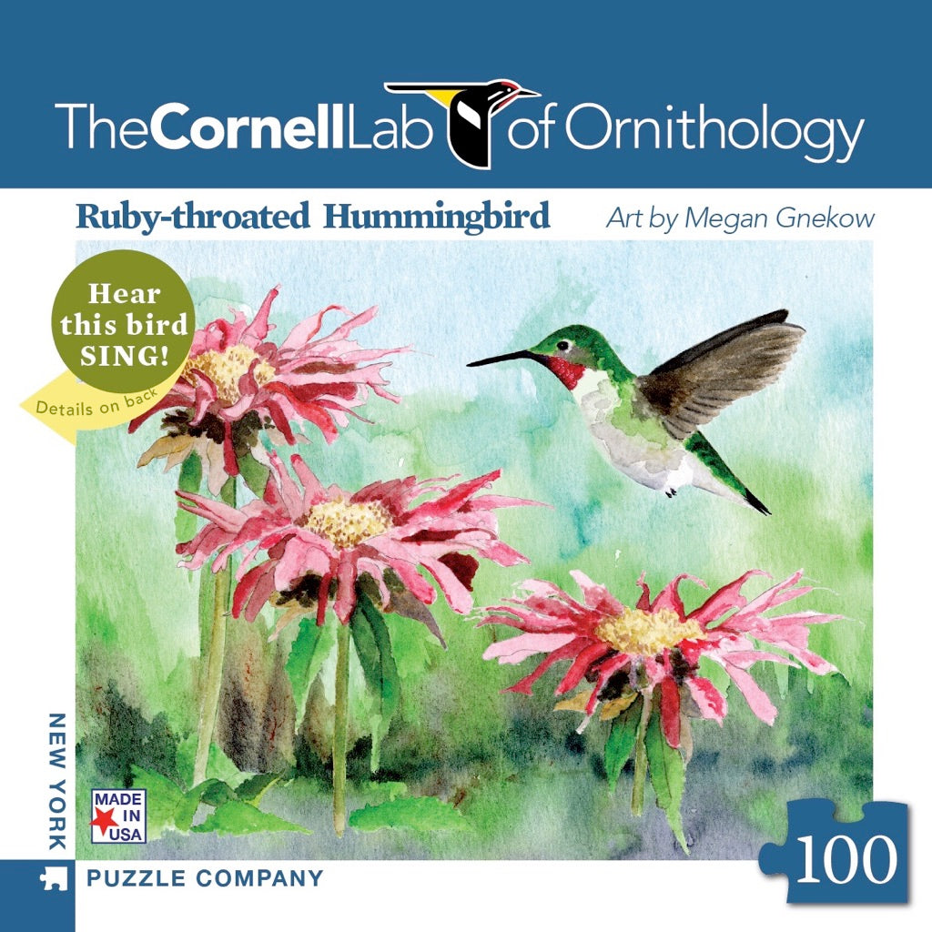 Ruby-throated Hummingbird Mini Image 2