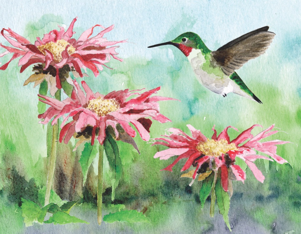 Ruby-throated Hummingbird Mini Image 3