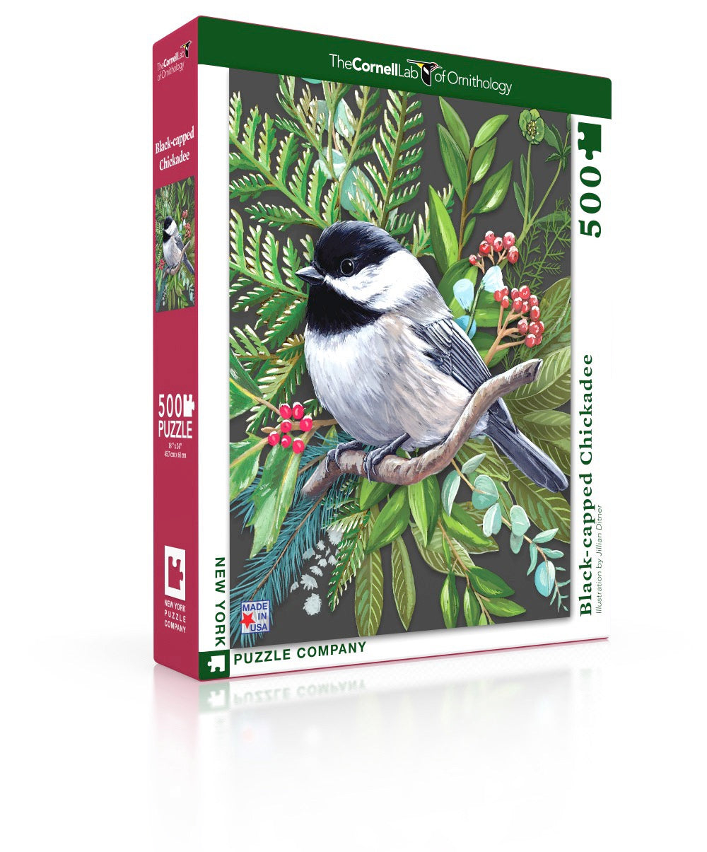 Black-capped Chickadee Image 1