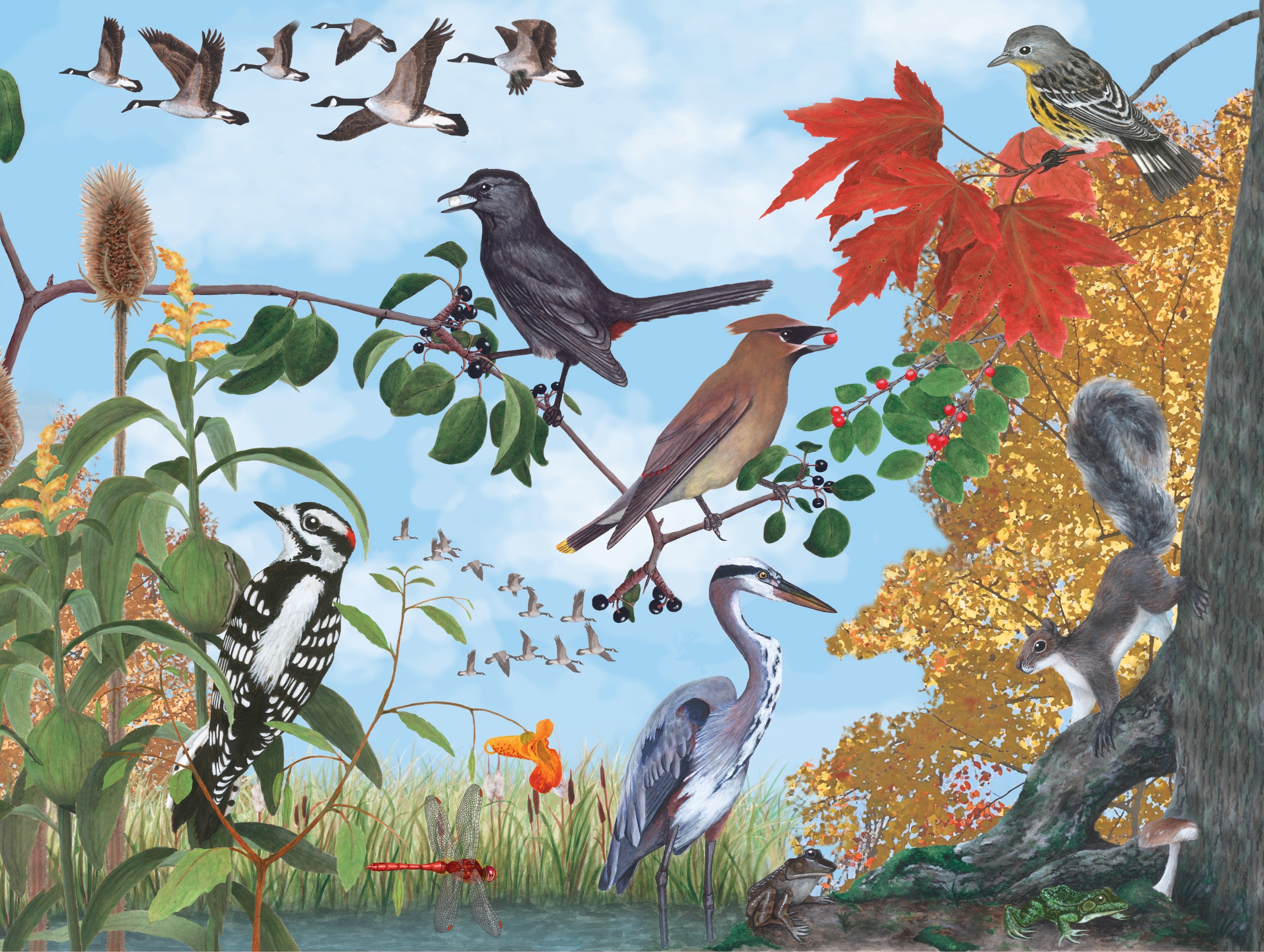 Autumn Trail Image 3