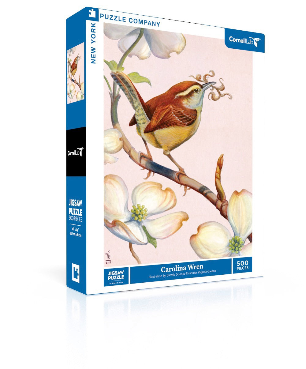 Carolina Wren Image 1