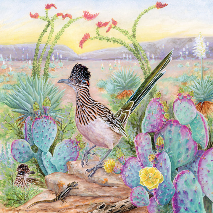 Greater Roadrunner Image 3