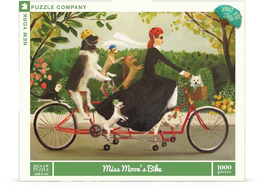 Miss Moon's Bike Image 2