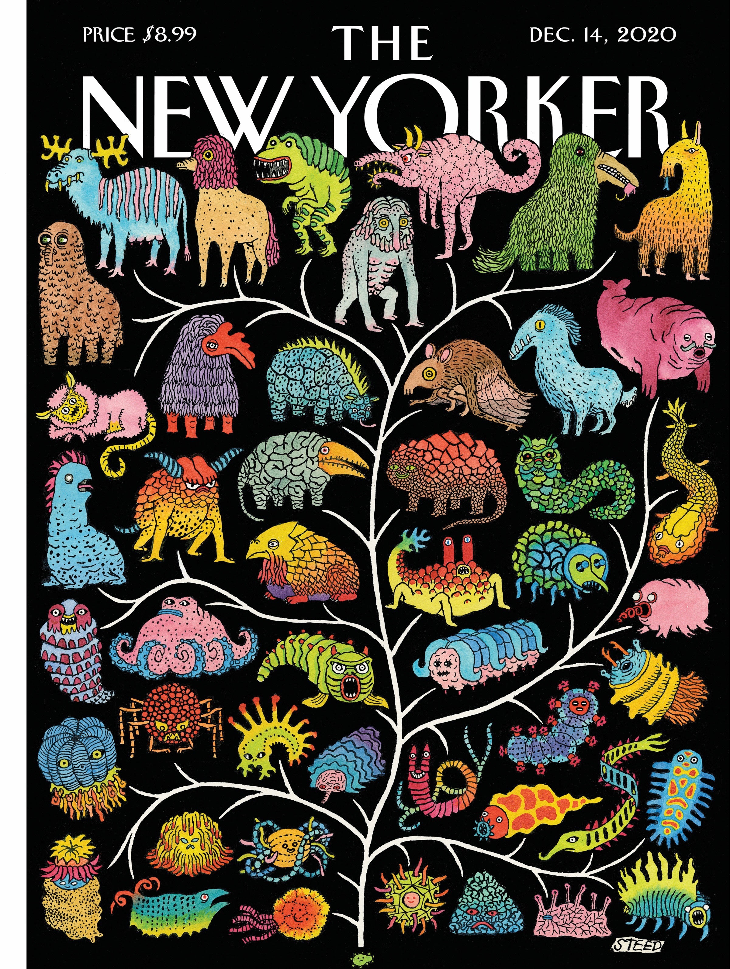 Tree of Life Image 3
