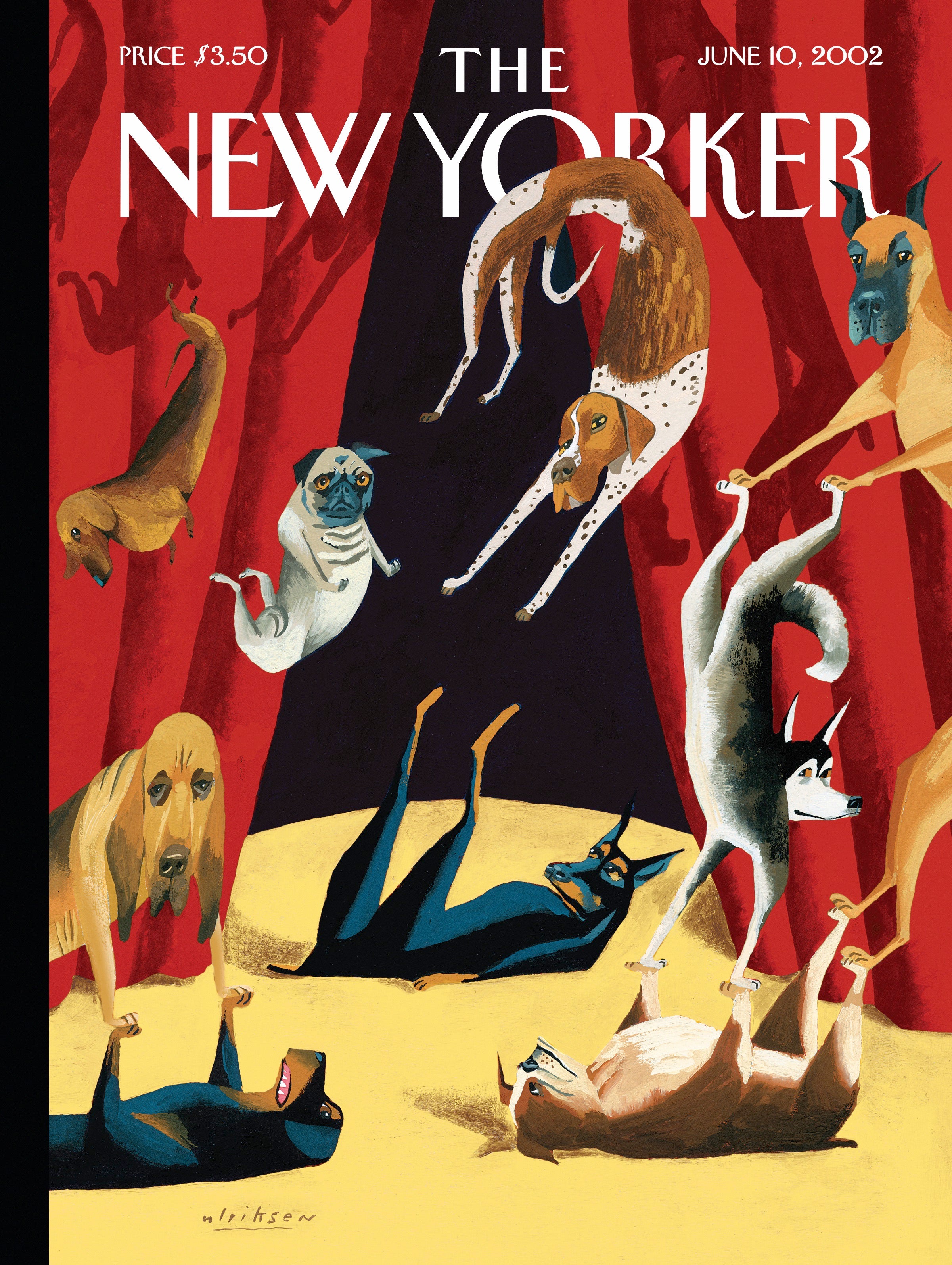 Dog Show Image 3
