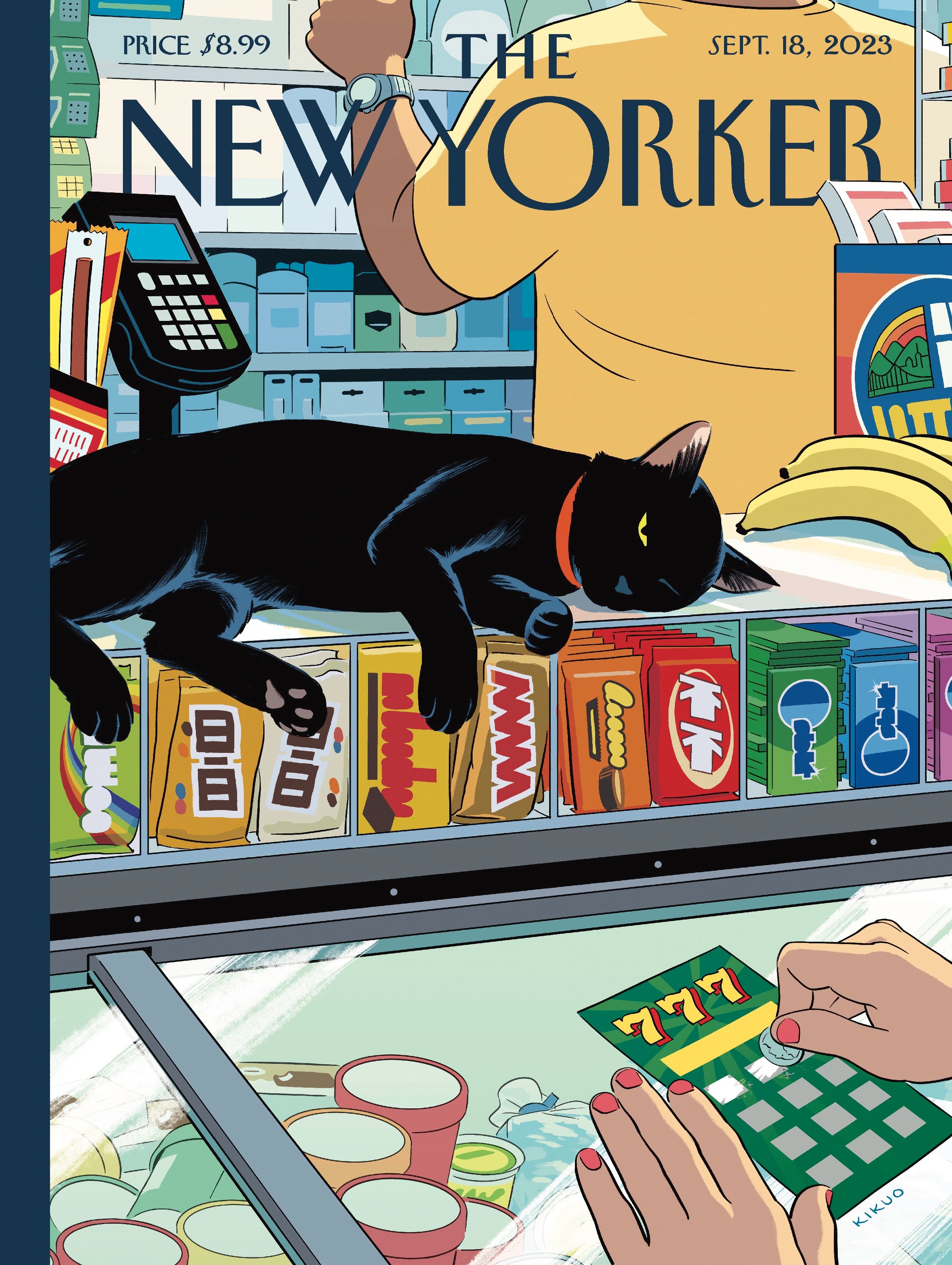 Bodega Cat Image 3