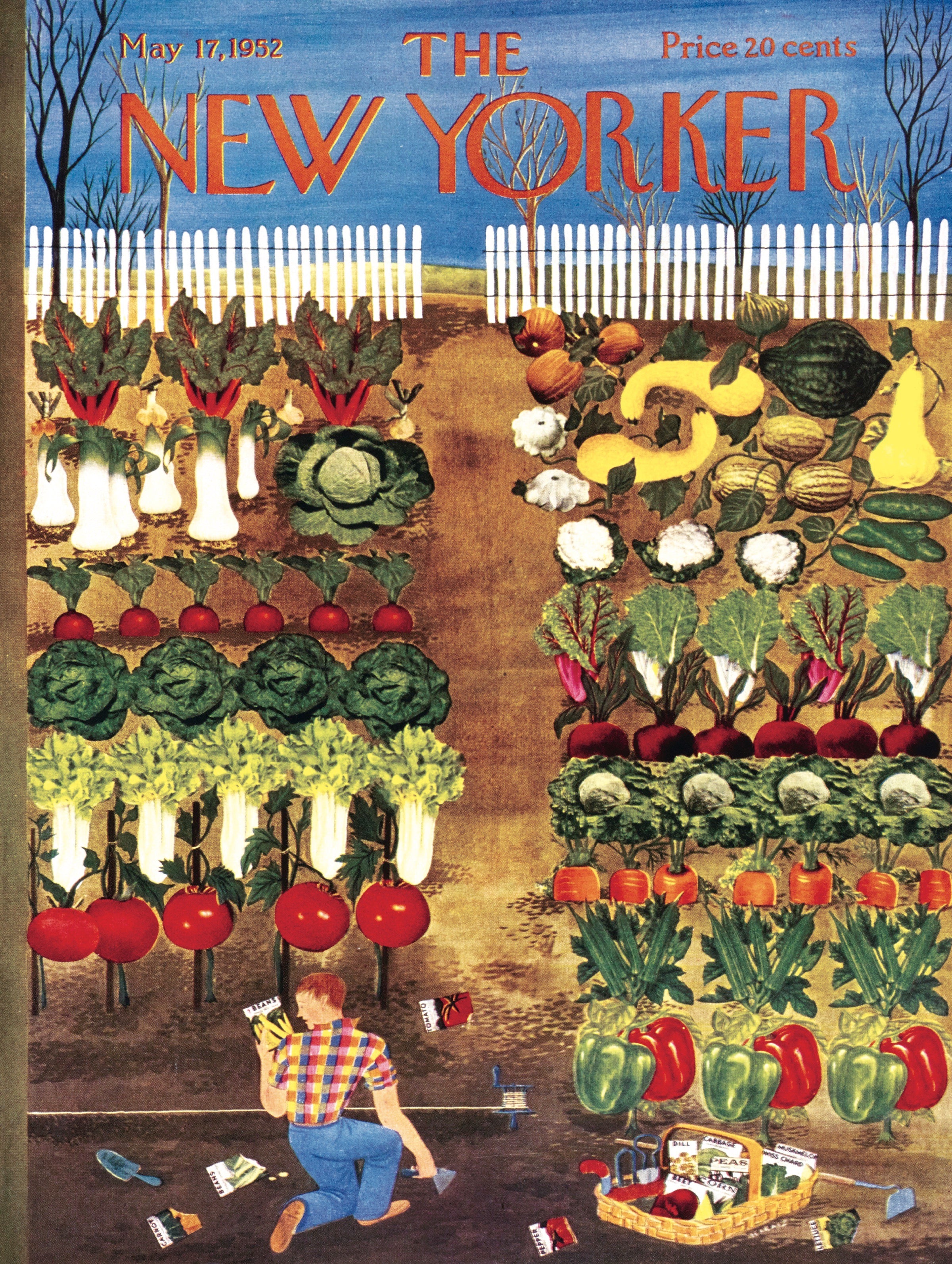 Vegetable Garden Image 3