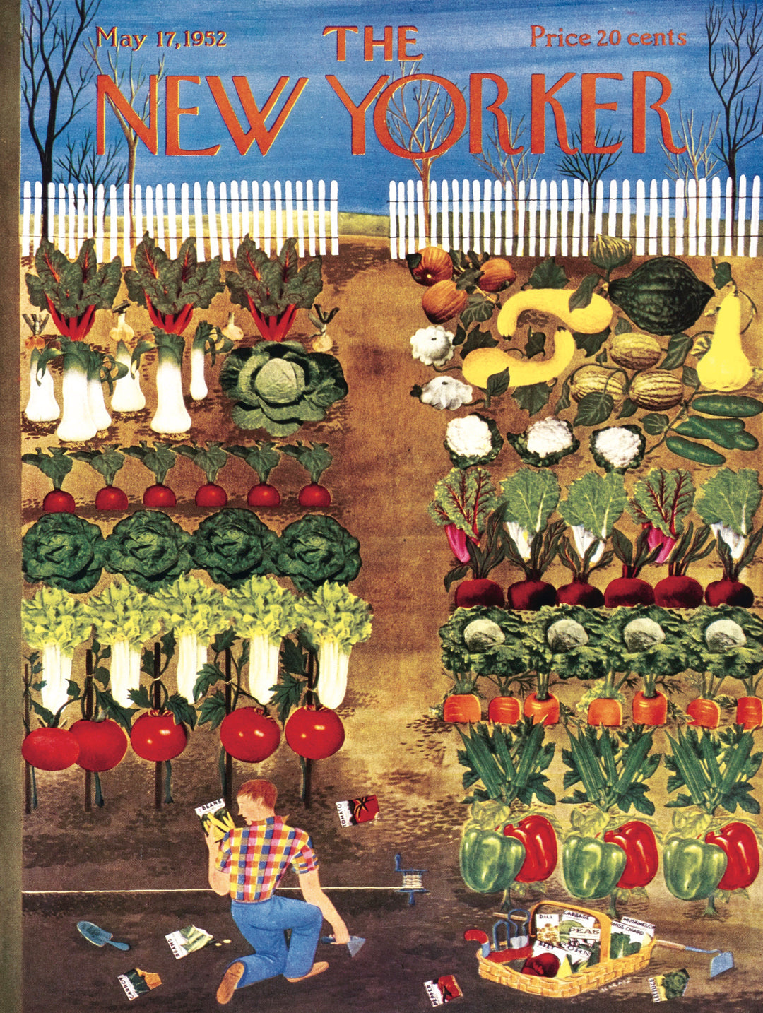 Vegetable Garden Image 3