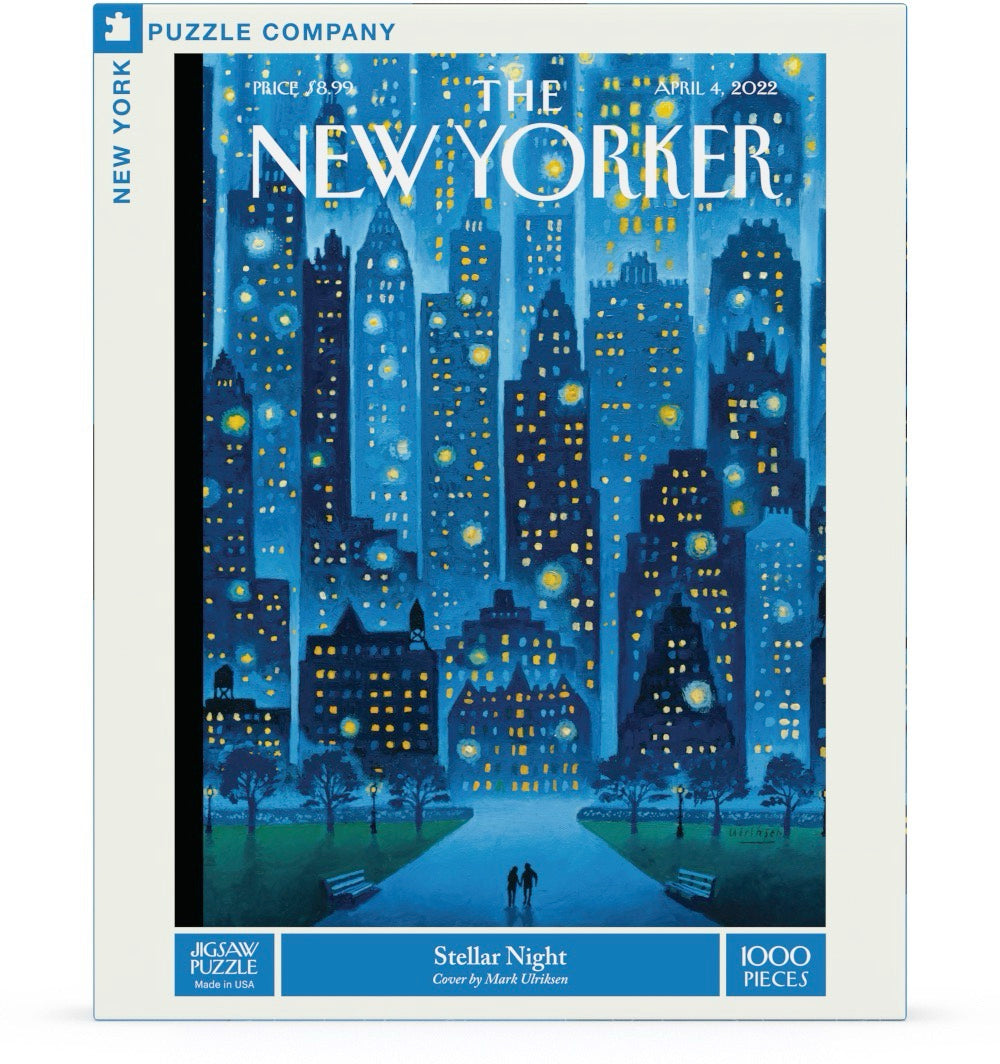 Stellar Night Image 2