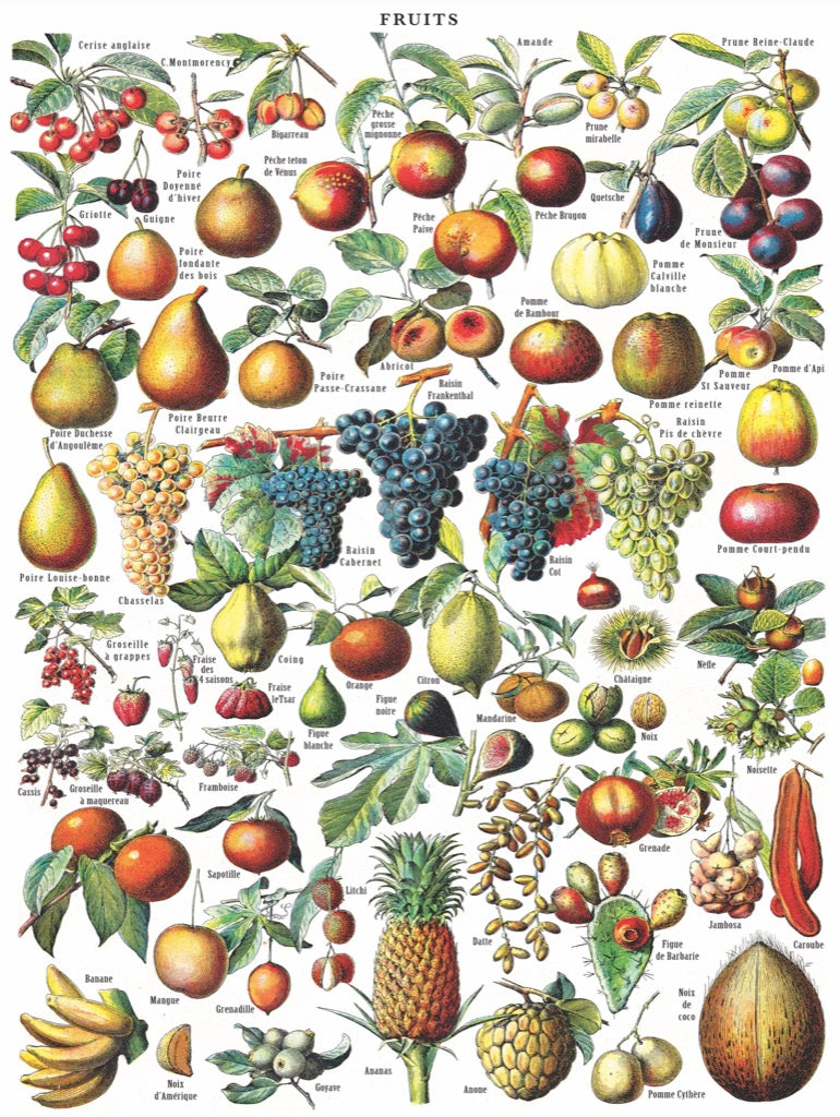 Fruits 1000 Piece Vintage Images Jigsaw Puzzle New York Puzzle Company