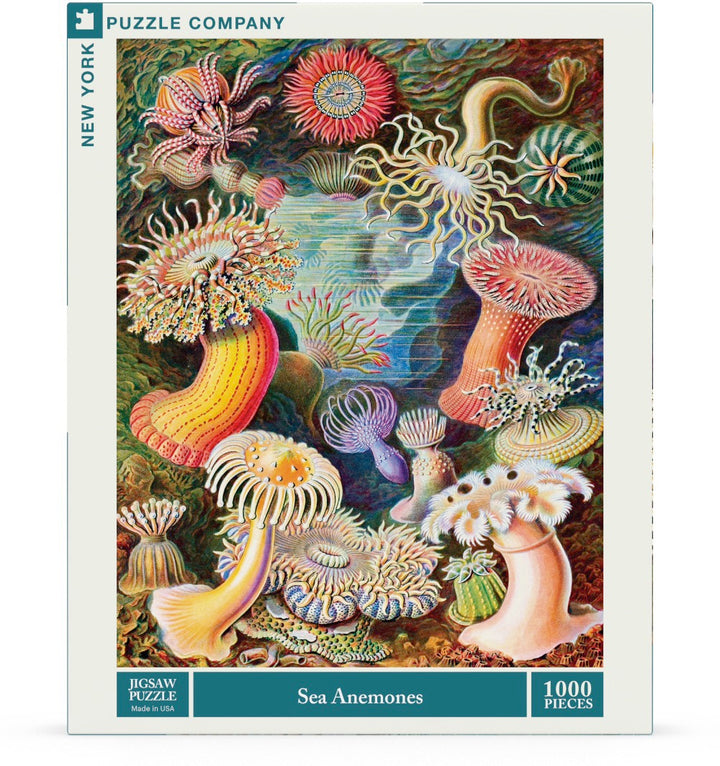 Sea Anemones Image 2