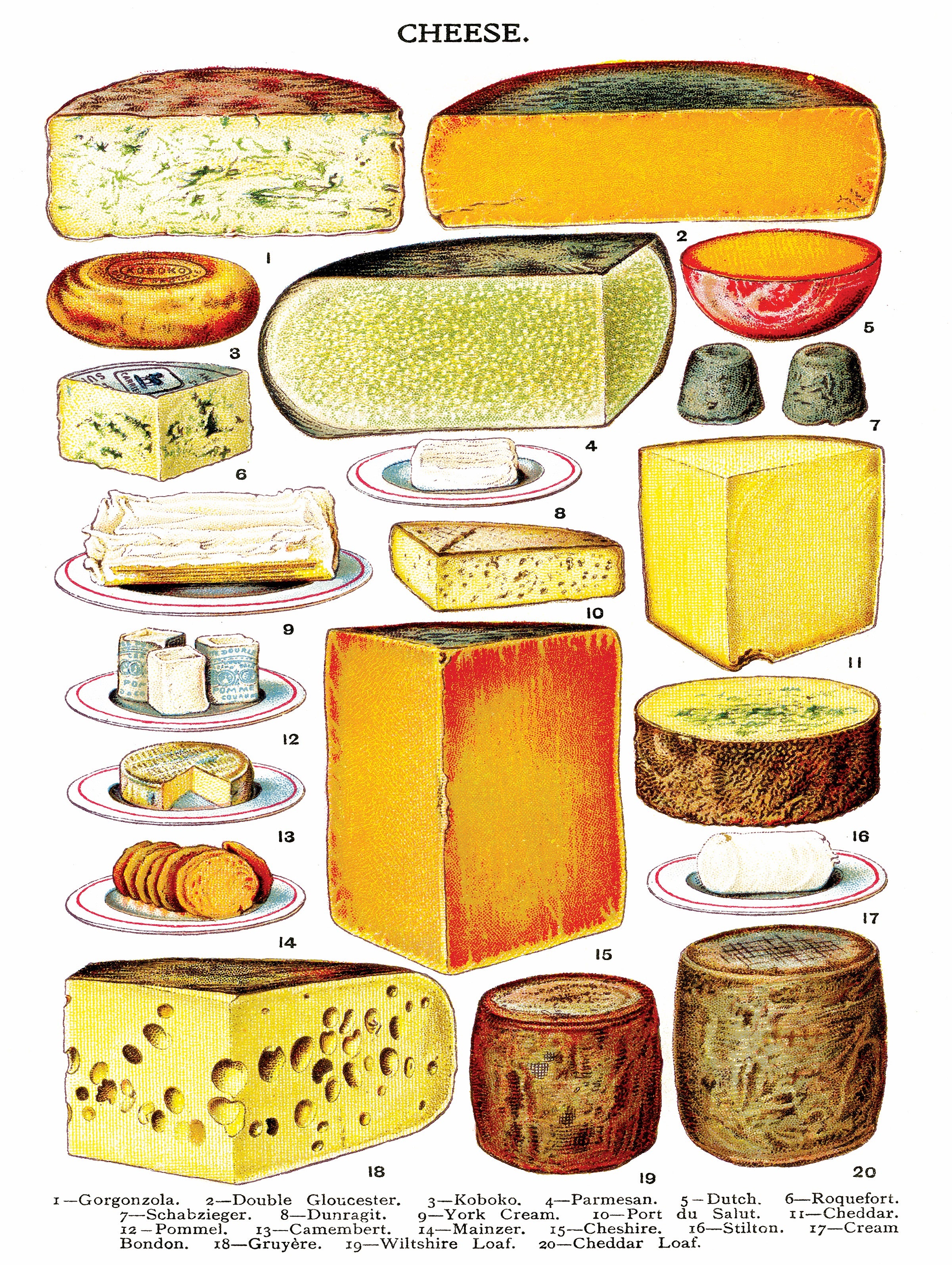 Cheese Image 3