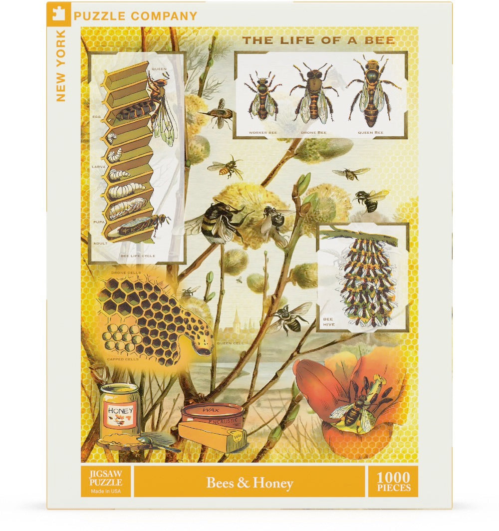 Bees & Honey Image 2