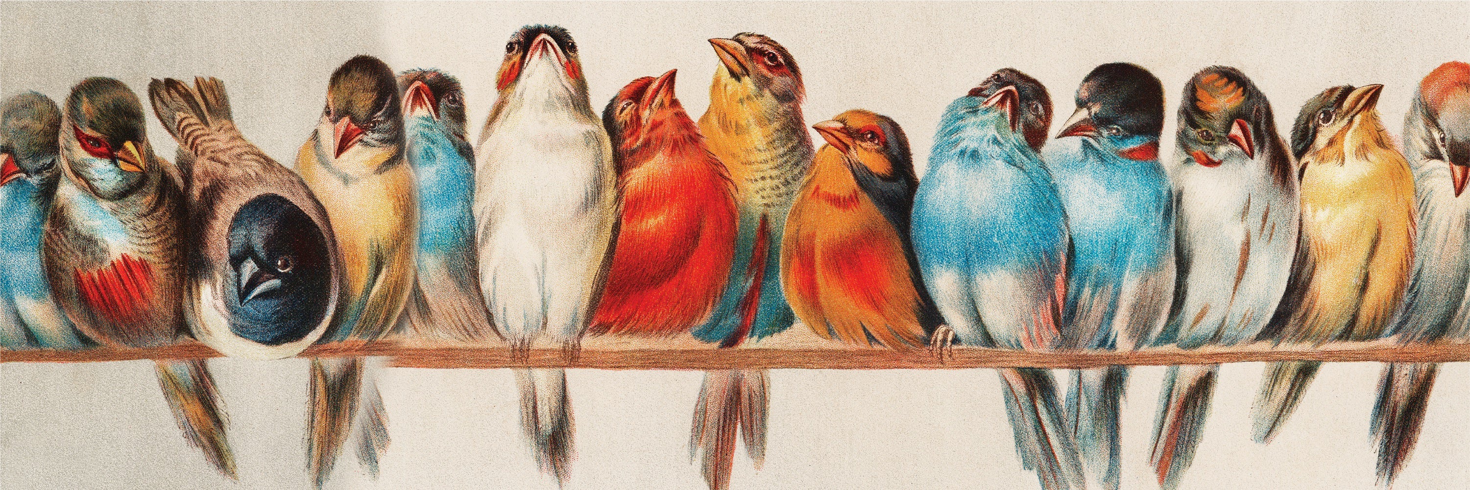 Perch Image 3