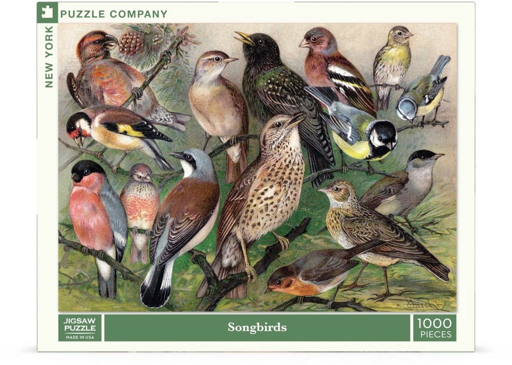 Songbirds Image 2