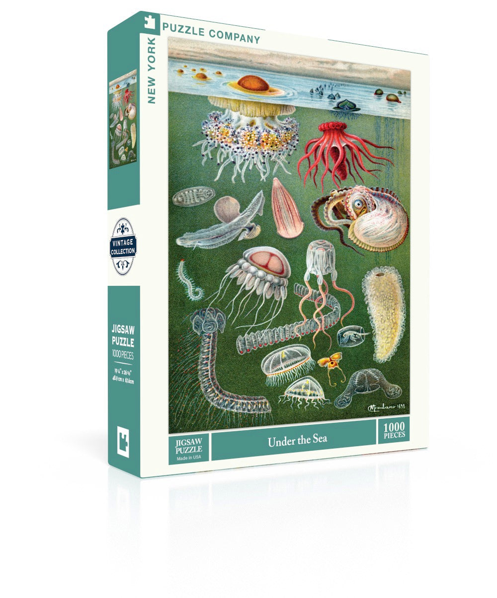 Under the Sea Image 1