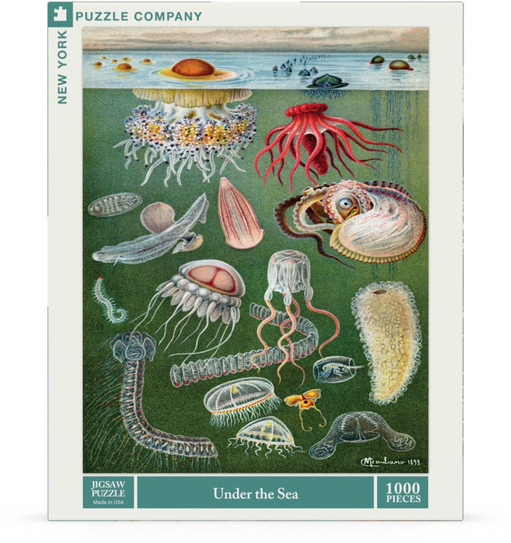 Under the Sea Image 2